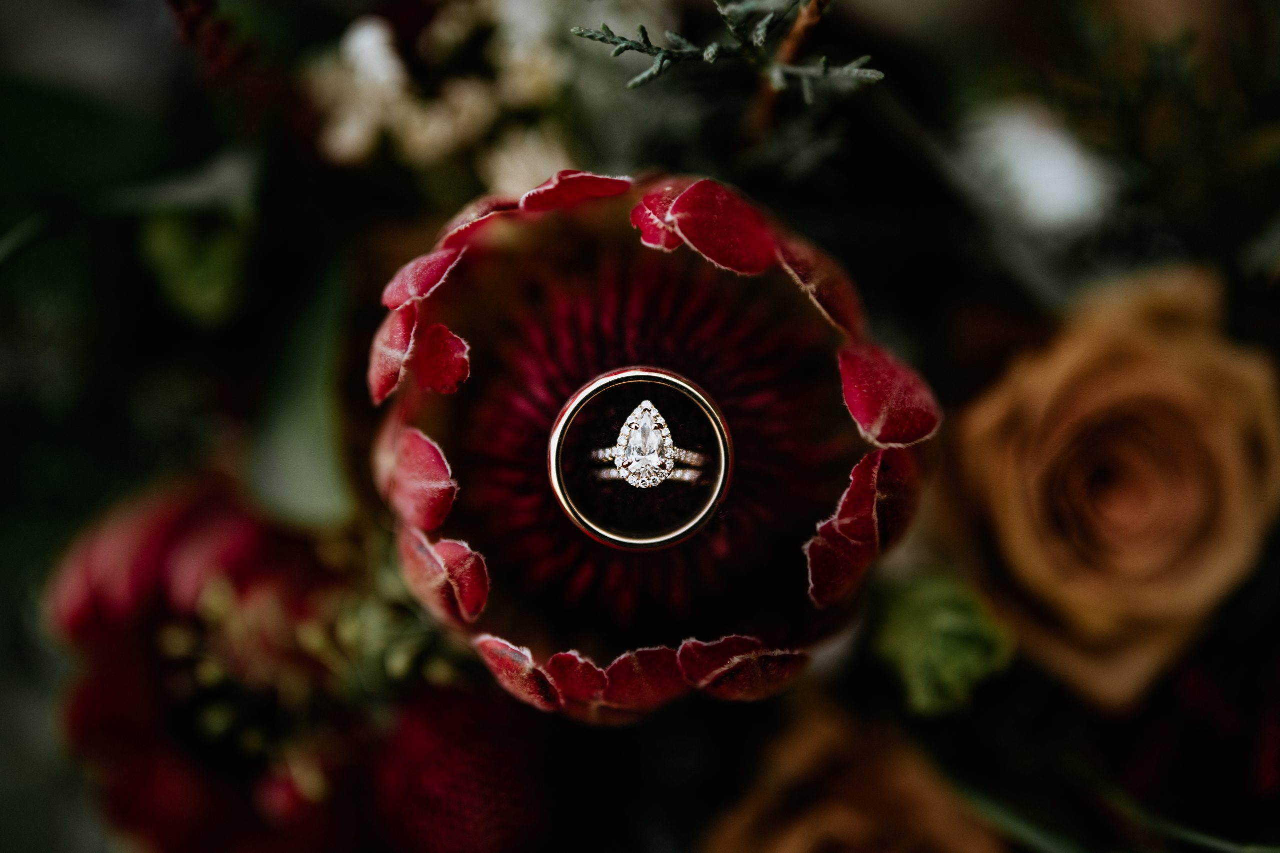 Detail shot (rings/flowers)
Artistic close-up of wedding rings displayed inside a vibrant flower, fine art detail photography from Asheville wedding.